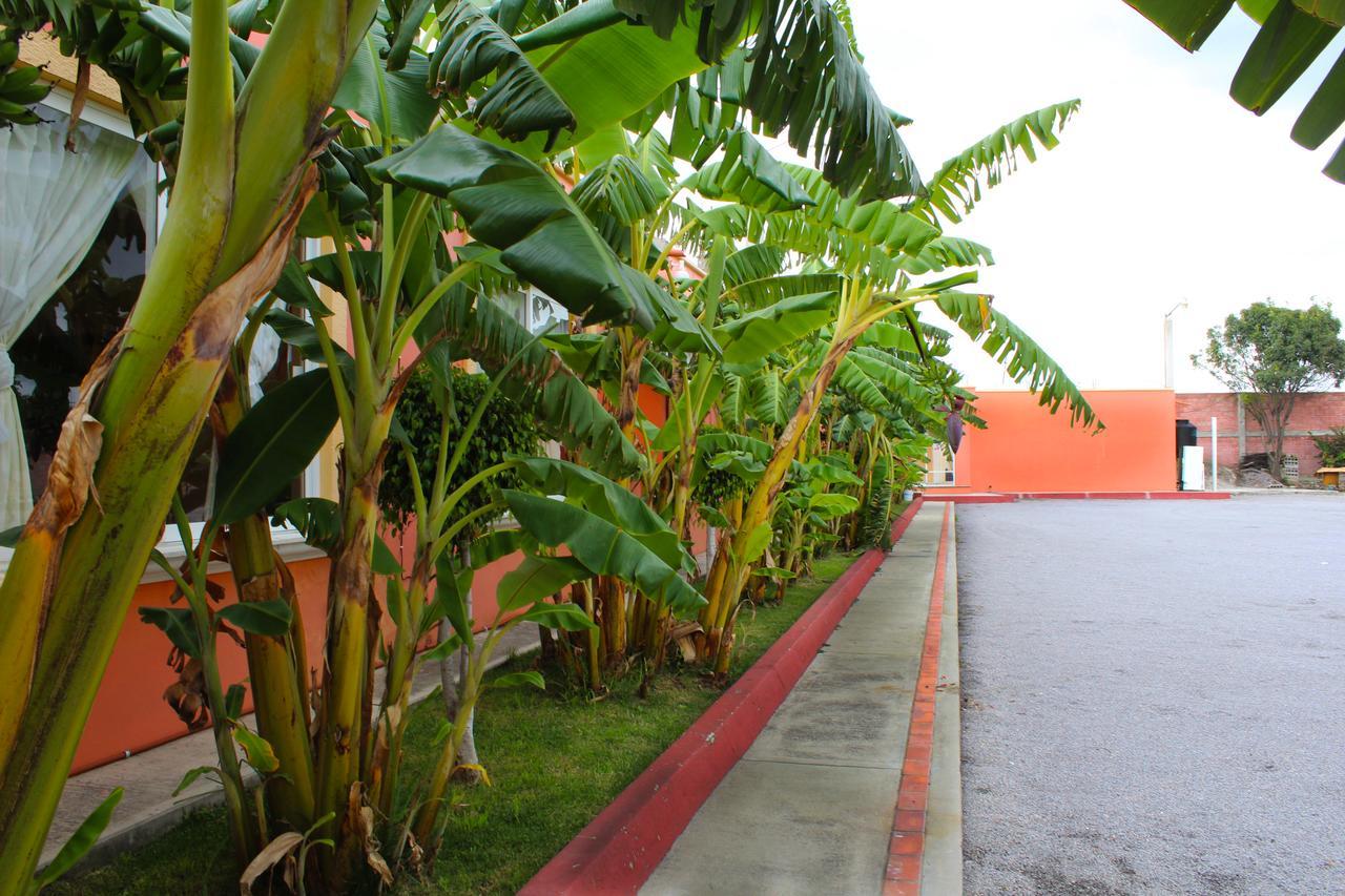 Hotel Real De Cortes Los Reyes  Luaran gambar